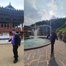 단풍두부 이미지