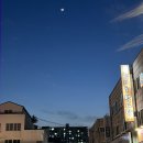 씨유 만수3지구 | 만수동 점심맛집 형제들감자탕 만수3지구점 뼈해장국 감자탕 내돈내산 후기