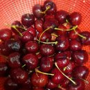 하늘약국 이미지