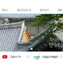 스테이청춘 이미지