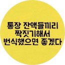 밥상장인