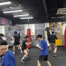 대한체육관 이미지