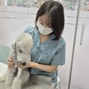 굿모닝동물병원 이미지