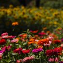 구와우농장 이미지