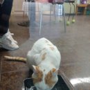 삼보카에어컨 이미지