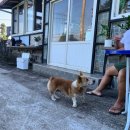 제주 필 하우스 | 제주도 필제주 게스트하우스ㅣ불멍을 즐길 수 있는 아늑한 서귀포 게하