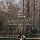 디디 - 수원시 팔달구 권광로 159 | 디디