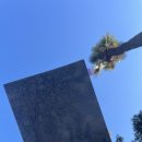 라델라 | 바르셀로네타 해변 구경 및 라 보케리아 시장, 까사 로리아, 델라크림, 시우다드 콘달, 요트투어 후기