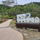 홍천건강칡즙 - 홍천군 남산강변로 28 | 홍천건강칡즙