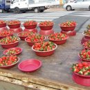 청양축협 이미지