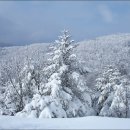 바람의언덕A 이미지