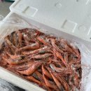 (주)아노씨엔에이치