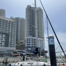 아그리나 D 이미지