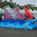 발리체육공원 | 2025 마포나루 새우젓 축제 다녀온 후기(프로그램/축제음식/요가)🦐