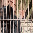 웅담2농장 이미지