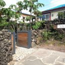 서연 민박 이미지