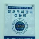 리스칼프 이미지