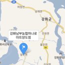 강화남부농협 양도지점 이미지