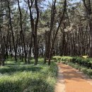 [1~3일차_06.30~07.02] 합동연수 - 사회사업가의 매력에 빠지다 이미지