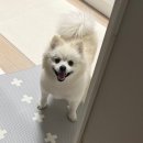 영지압원 이미지