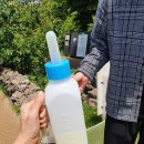 송아목장 | 제주아침미소목장 이게 공짜라니