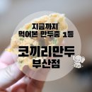 코끼리 | 코끼리만두 부산점 택배 후기 지금까지 먹어본 만두 중 1등 찍었습니다