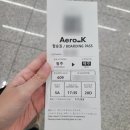 어진동_정부세종청사안내동앞BRT | 에어로케이 AEROK 청주-제주 노선 RF609/RF614 탑승 후기 (+BRT B3 타고 청주공항 가는 법)