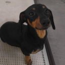 원더우멍 이미지