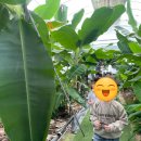 윤주농장 이미지