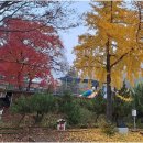 반딧불자연캠핑장 이미지