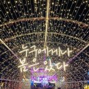 2021 태화강 빛 축제 이미지