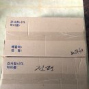 영애어린이집 Daum카페