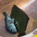 공주상회 이미지