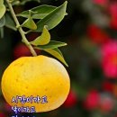 동행 공인중개사무소 이미지