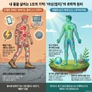 매경관광 | 해외 웰니스 트렌드 EARTHING 뜻과 과학적인 접지 원리 총정리 (동작구 국사봉 게르마늄길 후기)