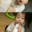 상하목장·강성원우유