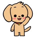 바비애견미용 이미지