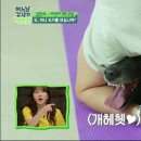 도그패밀리 이미지