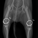 유림동물병원 이미지