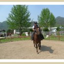 삼랑진고등학교 이미지