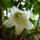 소양강둘레길 1코스 이미지