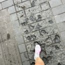 (주)드림앤첼린지 | 10월 셋째 주