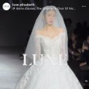 444 | [D-444]w.02 드레스 계약 후기