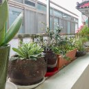 인천행복한돌봄 계양지역아동센터 이미지