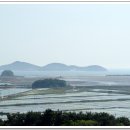 섬옷점 Daum카페