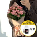 플플 이미지