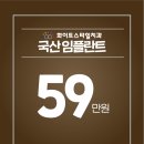 스타일 치과기공소 이미지