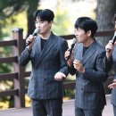 힐링포레스트 이미지