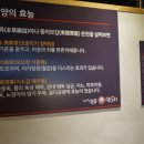 일품양꼬치 이미지