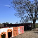 둥지농장 | 미국 인디애나 할로윈 시즌 가을농장 체험, 아이와 함께 Hilger Family Farm에서 펌킨 패치